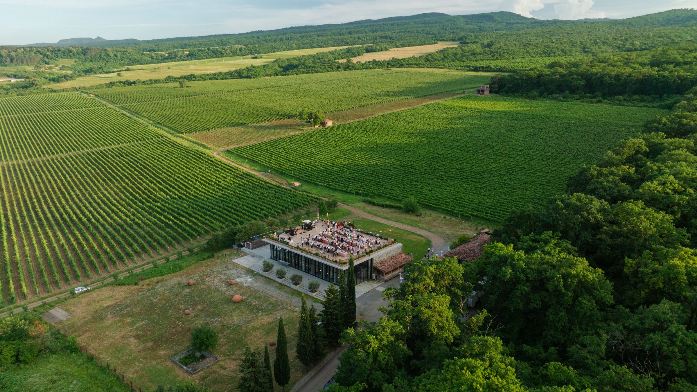 Tsinandali Estate vineyards from above